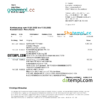 editable template, Germany Handelsbank bank statement, Word and PDF template