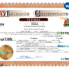 editable template, Grenada marriage certificate Word and PDF template, fully editable