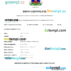 editable template, Haiti vital record birth certificate Word and PDF template, completely editable