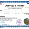 editable template, Hawaii marriage certificate Word and PDF template, fully editable