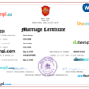 editable template, Holy See marriage certificate Word and PDF template, completely editable