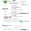 editable template, Iran vital record birth certificate Word and PDF template, completely editable