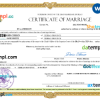 editable template, Iran marriage certificate Word and PDF template, fully editable