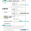 editable template, Iraq birth certificate Word and PDF template, completely editable