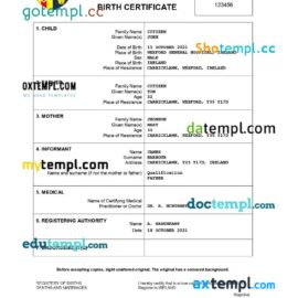 editable template, Ireland birth certificate Word and PDF template, completely editable