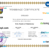 editable template, Ireland marriage certificate Word and PDF template, fully editable