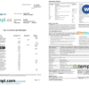 editable template, Ireland Bank of Ireland bank statement, Word and PDF template, 2 pages
