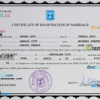 editable template, Israel marriage certificate PSD template, completely editable
