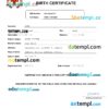 editable template, Jamaica vital record birth certificate Word and PDF template, completely editable