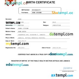 editable template, Jamaica vital record birth certificate Word and PDF template, completely editable