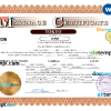editable template, Japan marriage certificate Word and PDF template, fully editable