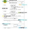 editable template, Kazakhstan vital record birth certificate Word and PDF template, completely editable
