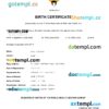 editable template, Kuwait vital record birth certificate Word and PDF template, completely editable