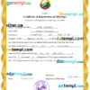 editable template, Laos marriage certificate Word and PDF template, completely editable