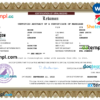 editable template, Labanon marriage certificate Word and PDF template, completely editable