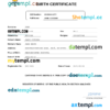 editable template, Maldives birth certificate Word and PDF template, completely editable