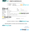 editable template, Marshall Islands vital record birth certificate Word and PDF template, completely editable