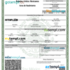 editable template, Mexico birth certificate Word and PDF template, version 2