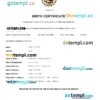 editable template, Mexico birth certificate Word and PDF template, fully editable