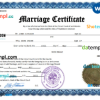 editable template, Mexico marriage certificate Word and PDF template, completely editable