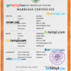 editable template, Mexico marriage certificate PSD template, fully editable