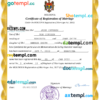 editable template, Moldova marriage certificate Word and PDF template, completely editable
