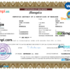 editable template, Mongolia marriage certificate Word and PDF template, completely editable