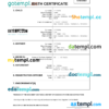 editable template, Myanmar vital record birth certificate Word and PDF template, completely editable