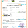 editable template, Nigeria marriage certificate Word and PDF template, completely editable