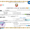 editable template, North Korea marriage certificate Word and PDF template, fully editable