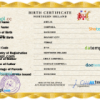 editable template, Northern Ireland vital record birth certificate PSD template, fully editable