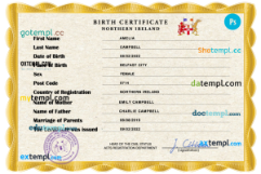 editable template, Northern Ireland vital record birth certificate PSD template, fully editable