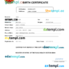 editable template, Oman birth certificate Word and PDF template, completely editable