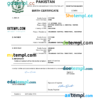 editable template, Pakistan vital record birth certificate Word and PDF template, completely editable