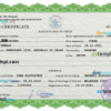 editable template, Palau birth certificate PSD template, completely editable