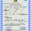 editable template, Palestine vital record birth certificate PSD template