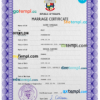 editable template, Panama marriage certificate PSD template, completely editable