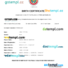 editable template, Paraguay birth certificate Word and PDF template, completely editable