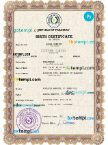 editable template, Paraguay vital record birth certificate PSD template