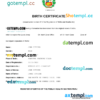 editable template, Peru birth certificate Word and PDF template, completely editable