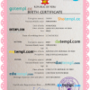 editable template, Peru vital record birth certificate PSD template, fully editable