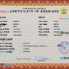 editable template, Portugal marriage certificate PSD template, fully editable