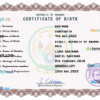 editable template, Rwanda birth certificate PSD template, completely editable