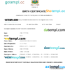 editable template, Saint Vincent & Grenadines vital record birth certificate Word and PDF template, completely editable