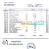 editable template, Ireland Fire Financial Services Limited account statement template in Word and PDF format