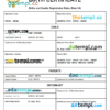 editable template, Japan birth certificate Word and PDF template, completely editable