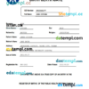 editable template, Taiwan vital record birth certificate Word and PDF template, completely editable
