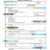 editable template, Czechia vital record birth certificate Word and PDF template, completely editable