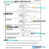 editable template, Djibouti birth certificate Word and PDF template, completely editable