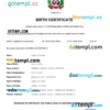 editable template, Dominican Republic birth certificate Word and PDF template, completely editable